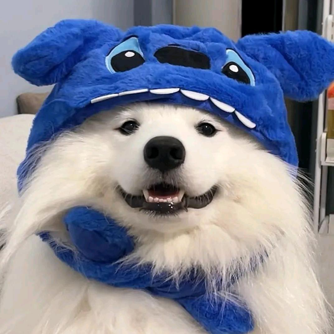爱犯困