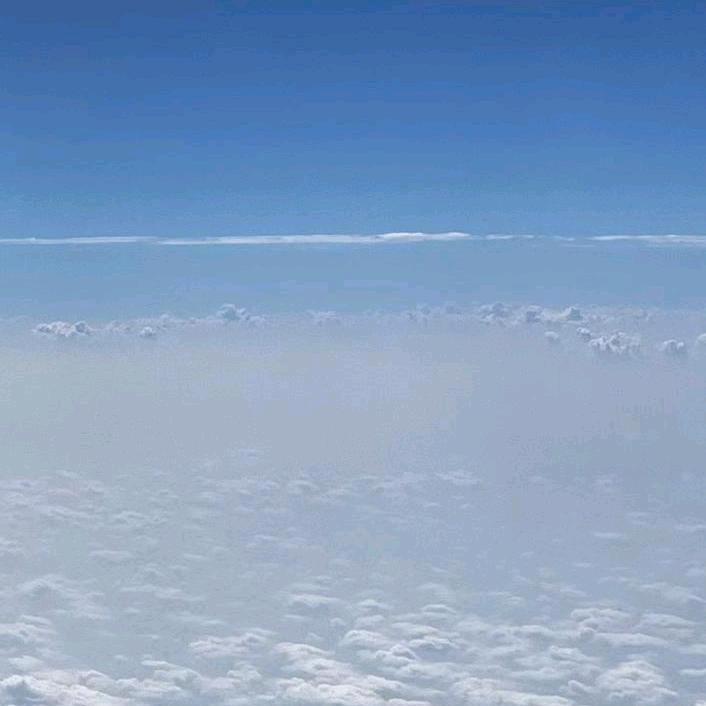 🌻ღ淡 风এ࿐