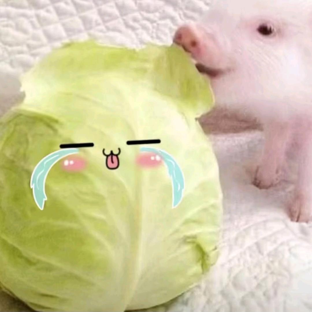 见晚春