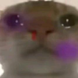 初生【三角洲行动】