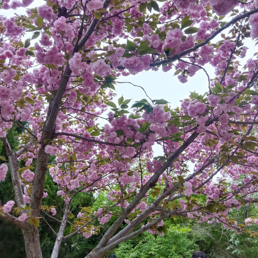 天天有个好心情