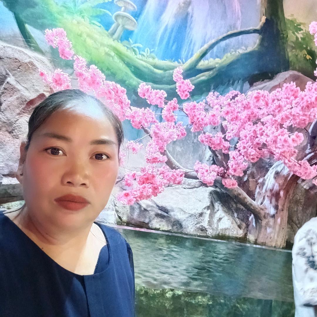 心累郑