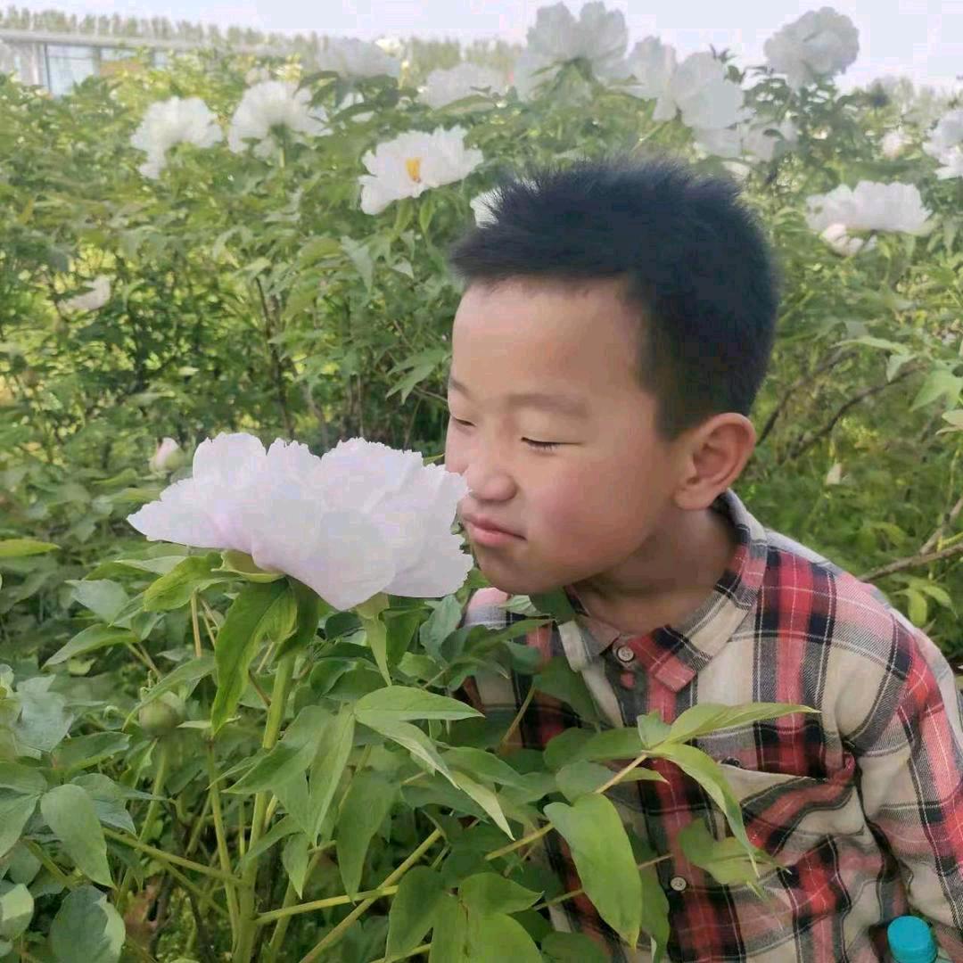 石家大小姐