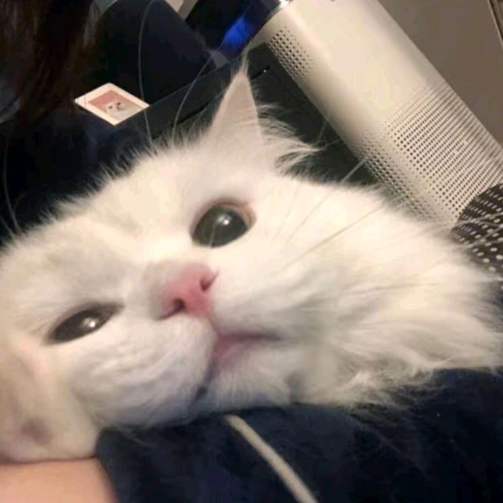 落叶