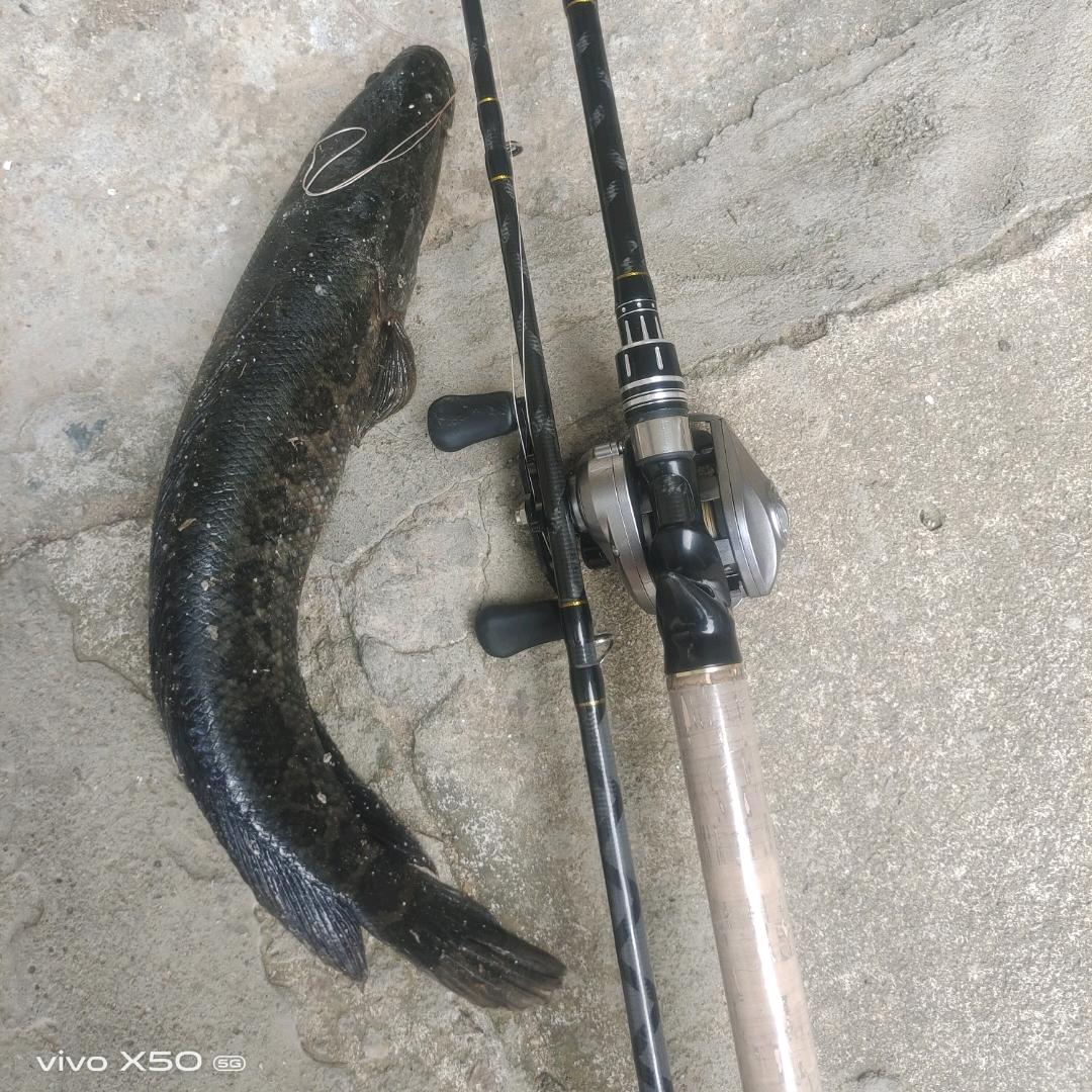 ༂♥赖蛤蟆♥༂