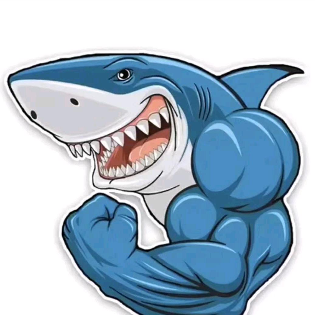 大鲨鱼🐋