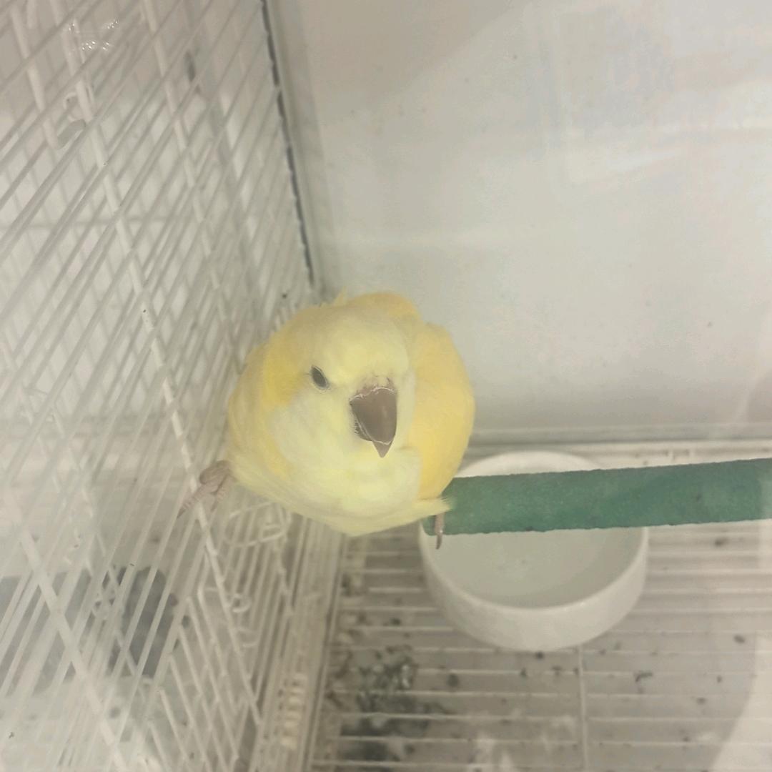 。！。！。。。？！！