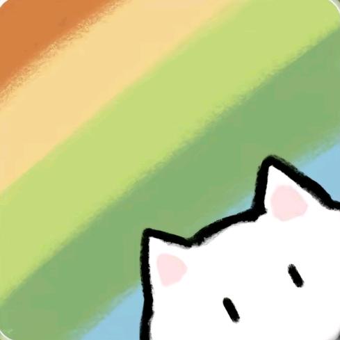 奘