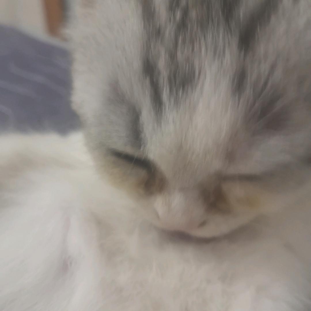 不喝冰红茶