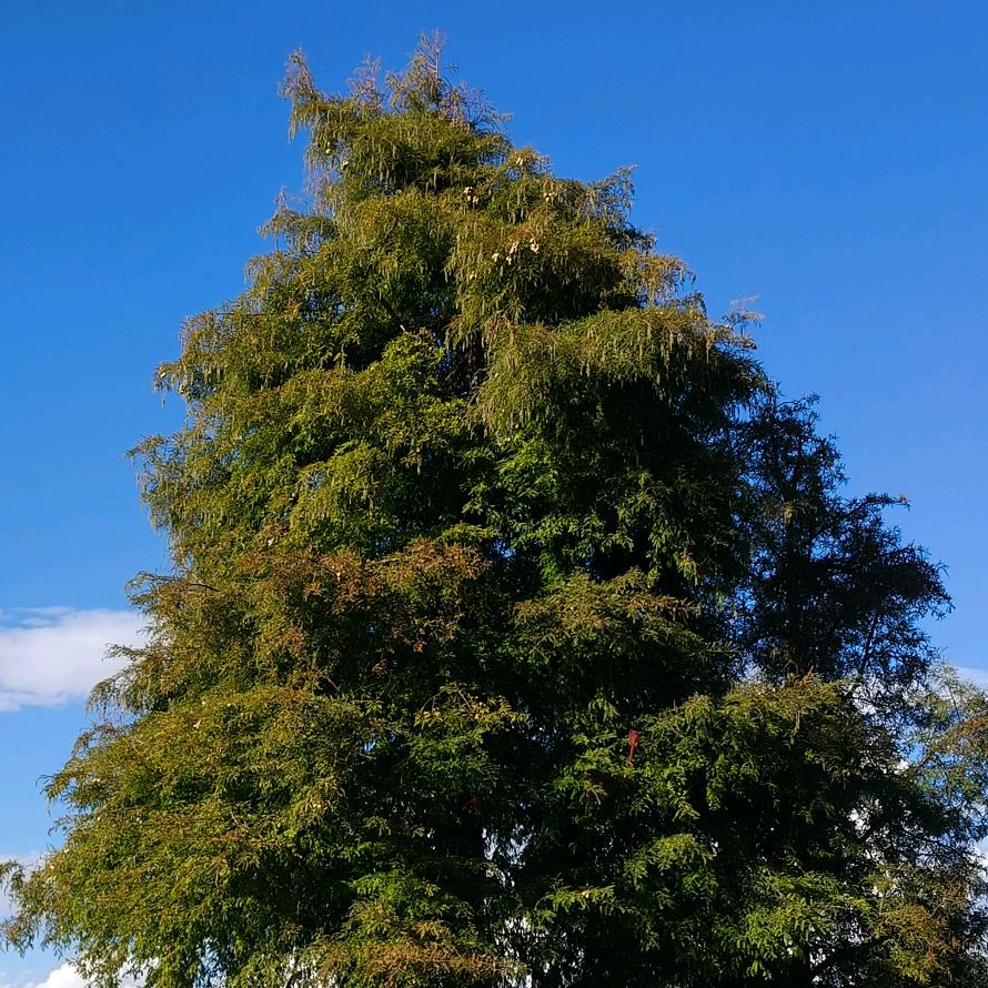 三利广场绒绒发生