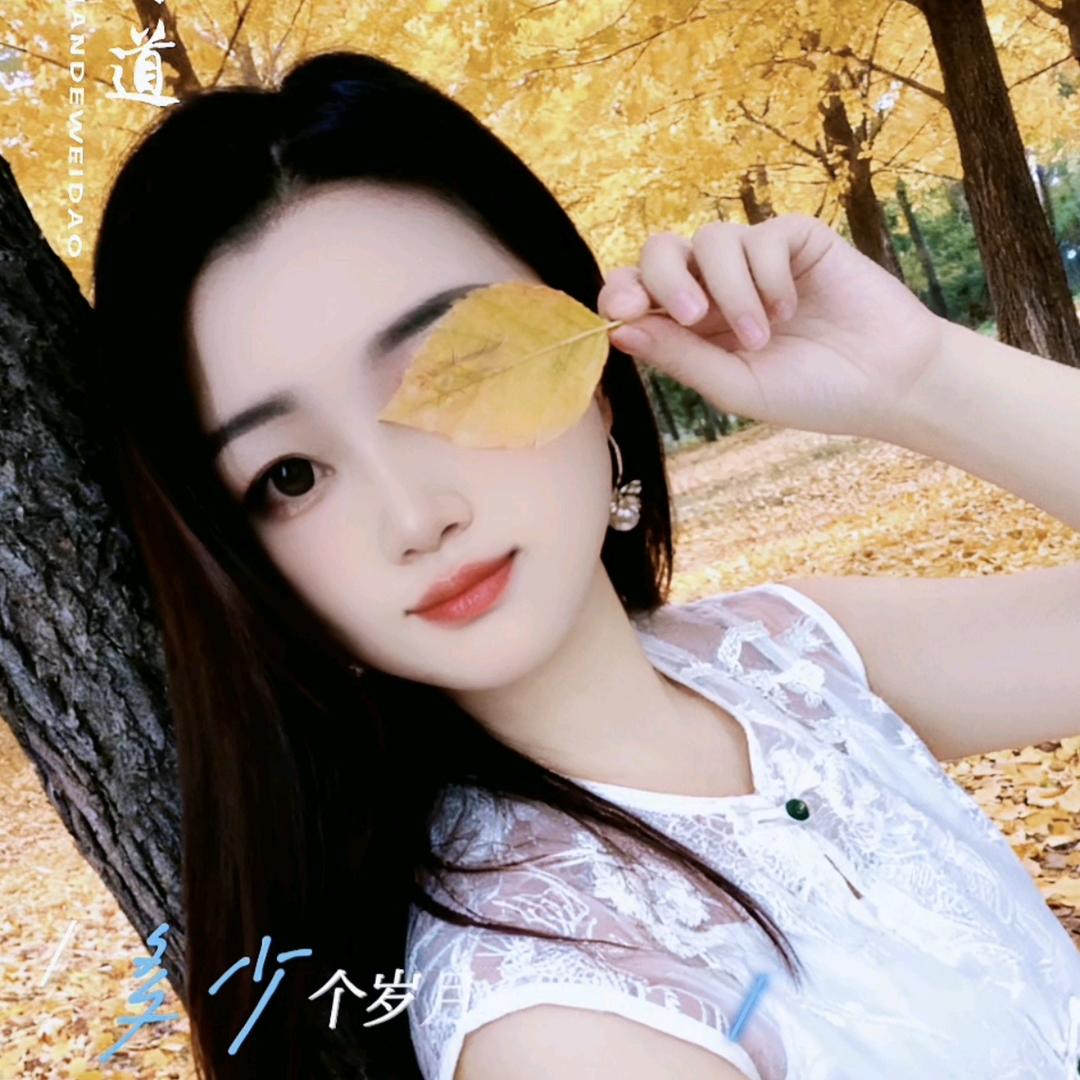 🕊꧔᭄ᩚꩵ看熟悉的风景. ˇ꧔ꦿ᭄🕊