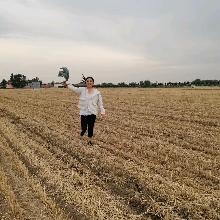 向着太阳迎着光