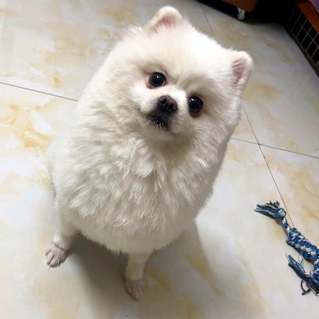 @ღ᭄㞮孞💞ꦿ᭄: