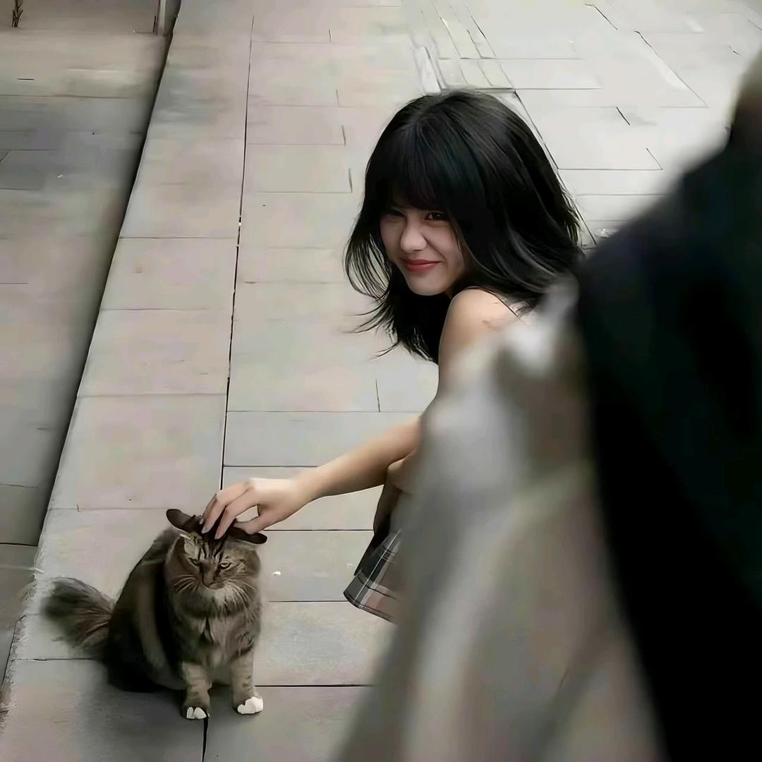 涵涵