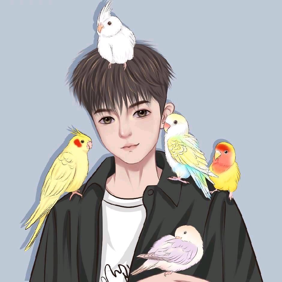 新疆知鸢宠物有限公司