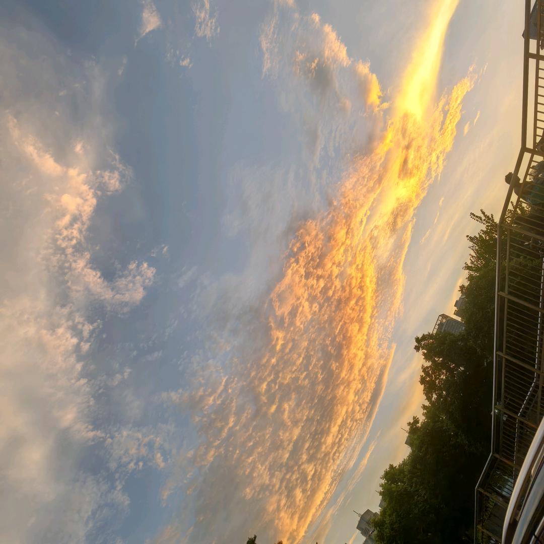 摊位上一朵艳阳