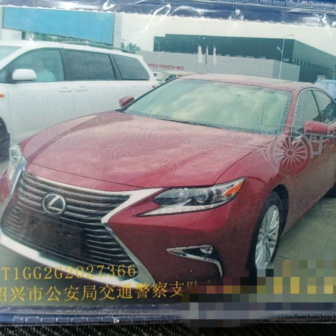 没有靠山，只有毛竹山