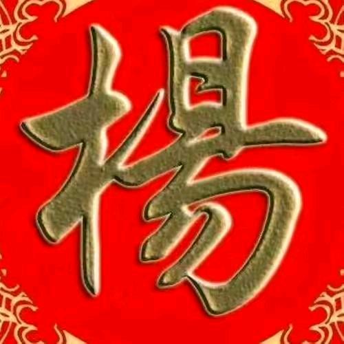 月亮代表我的心（楊）氏家族