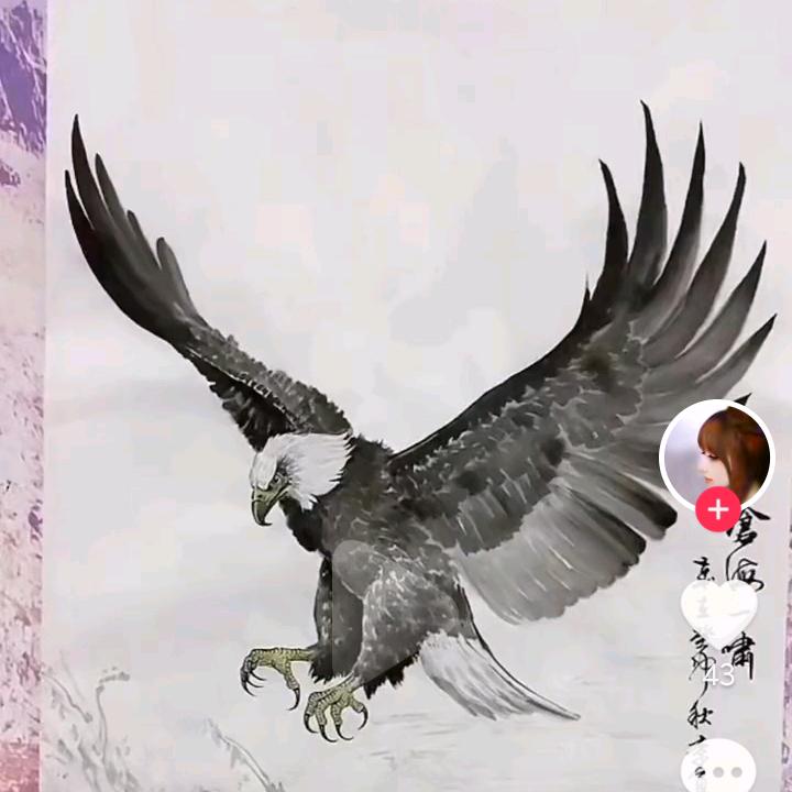 飞鹰