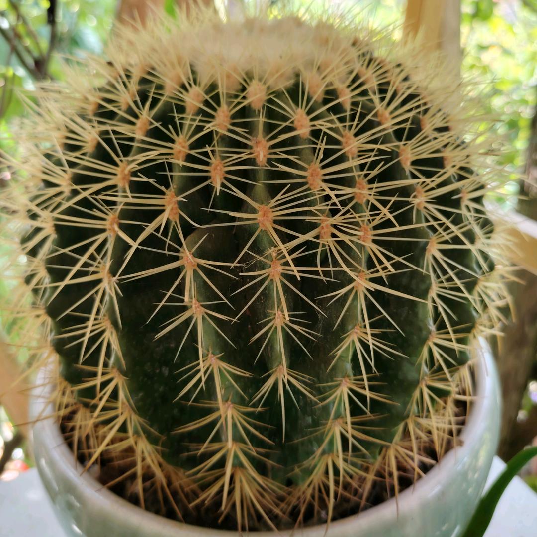一颗撕破的心，谁来缝合，
