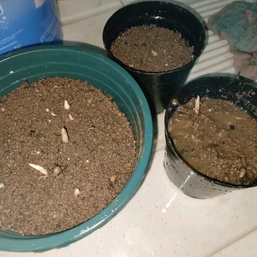 眼药水重度依赖