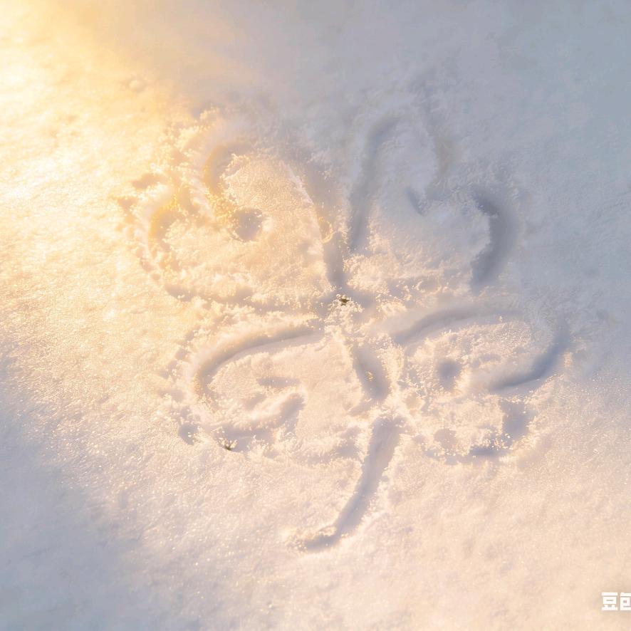 佩琪🍀不是Peppa🌈