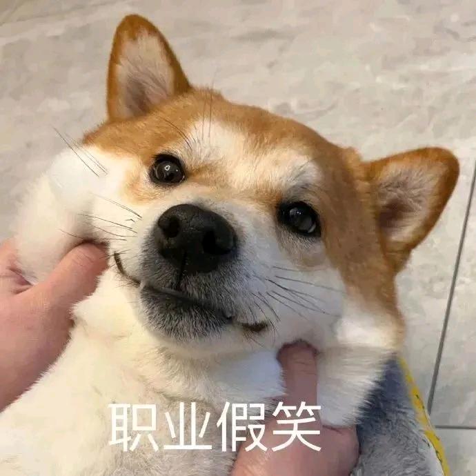 肖肖