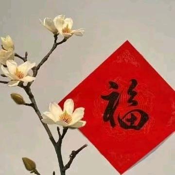 杉杉带你吃喝玩乐