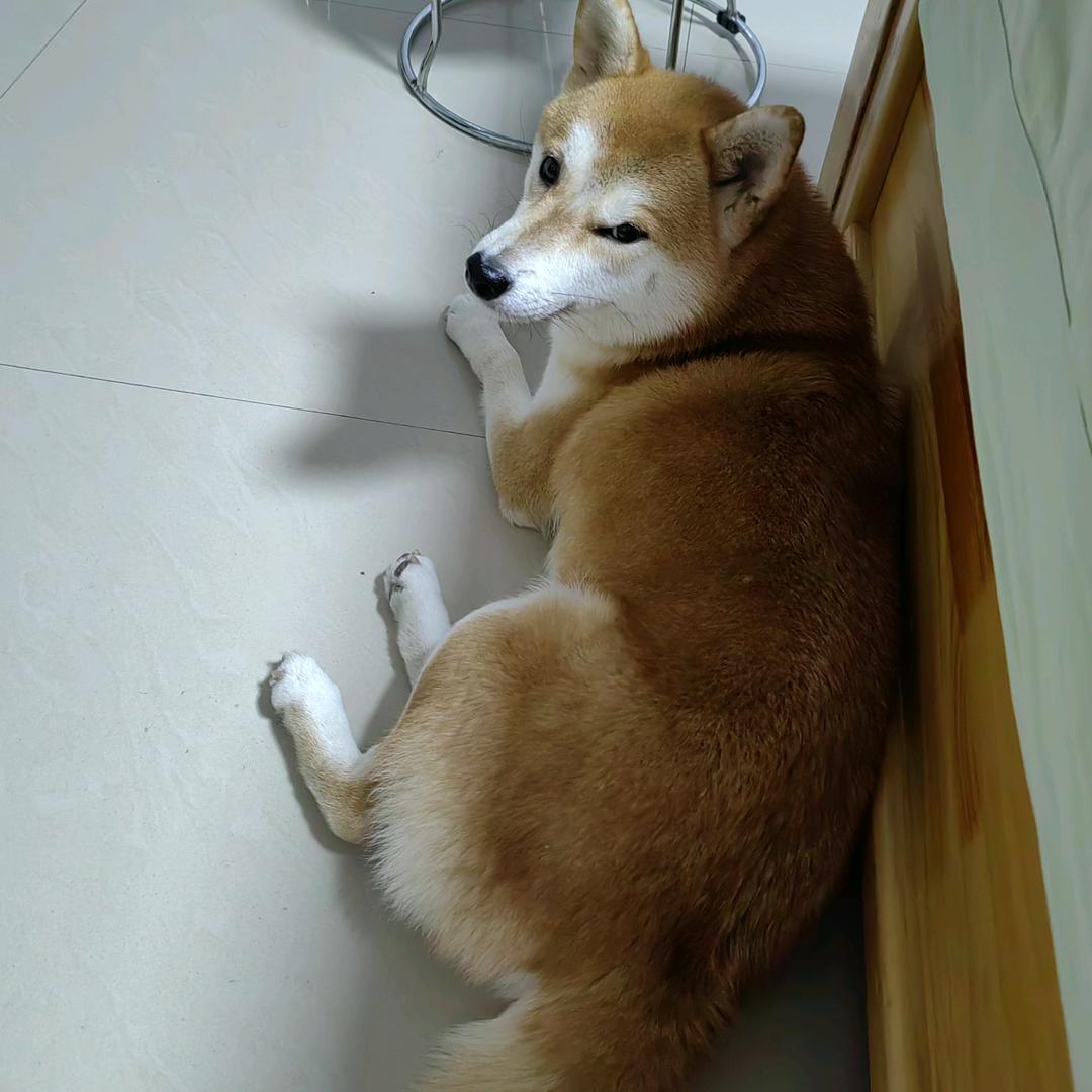 一路芬芳相随
