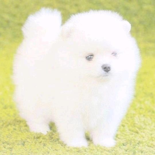 彩虹