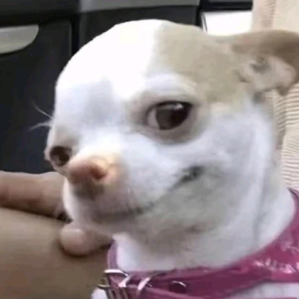 暴龙战士