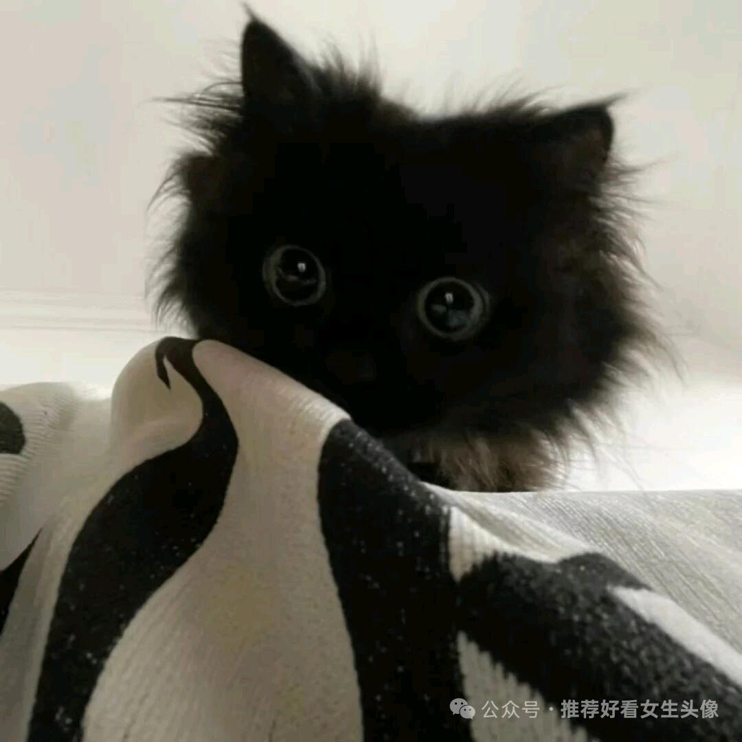 健胃消食片