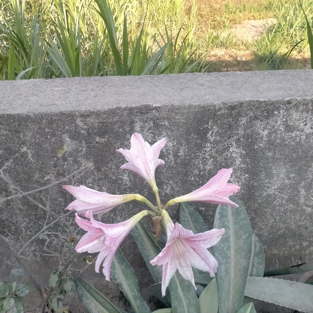 好伤心的女人