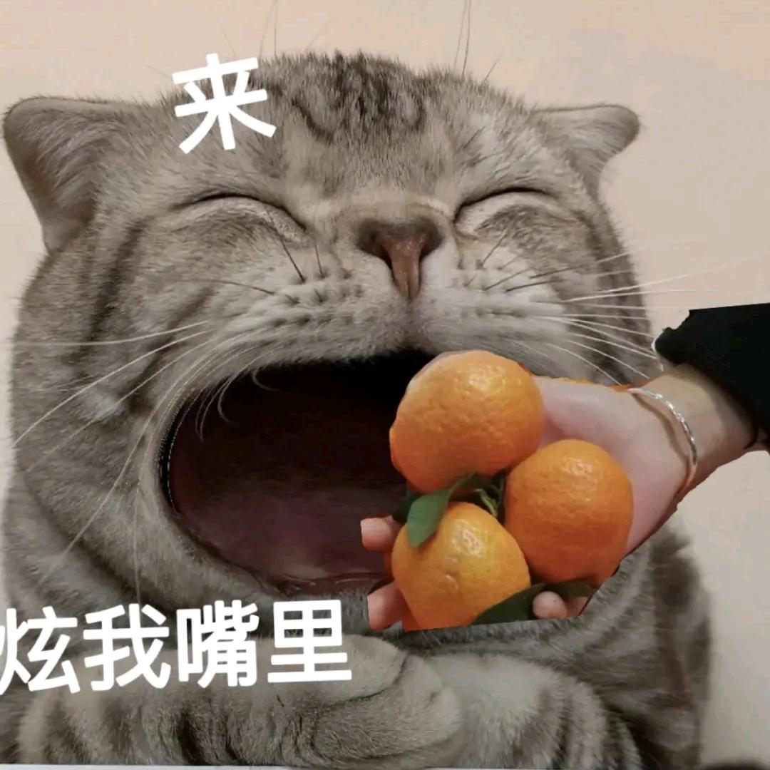 三蔓子定制羽绒服（品牌工厂店）