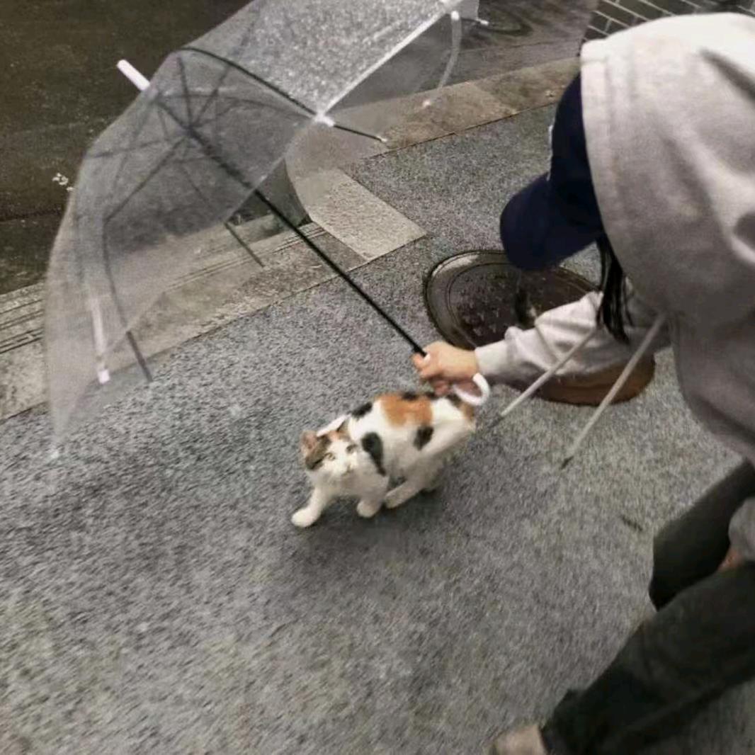 一半❄️