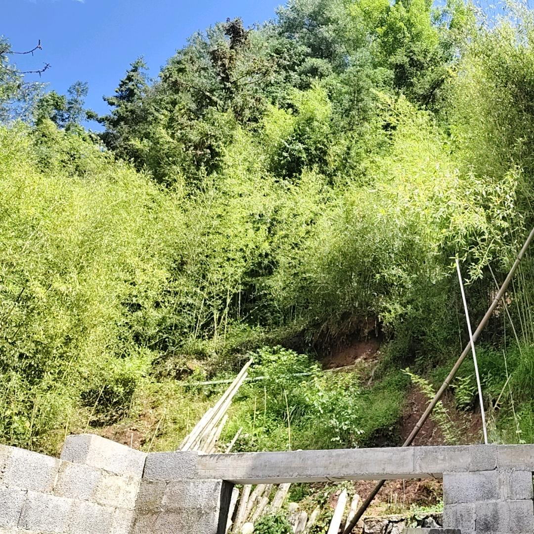 百❤合(◕ˇ∀ˇ◕。)