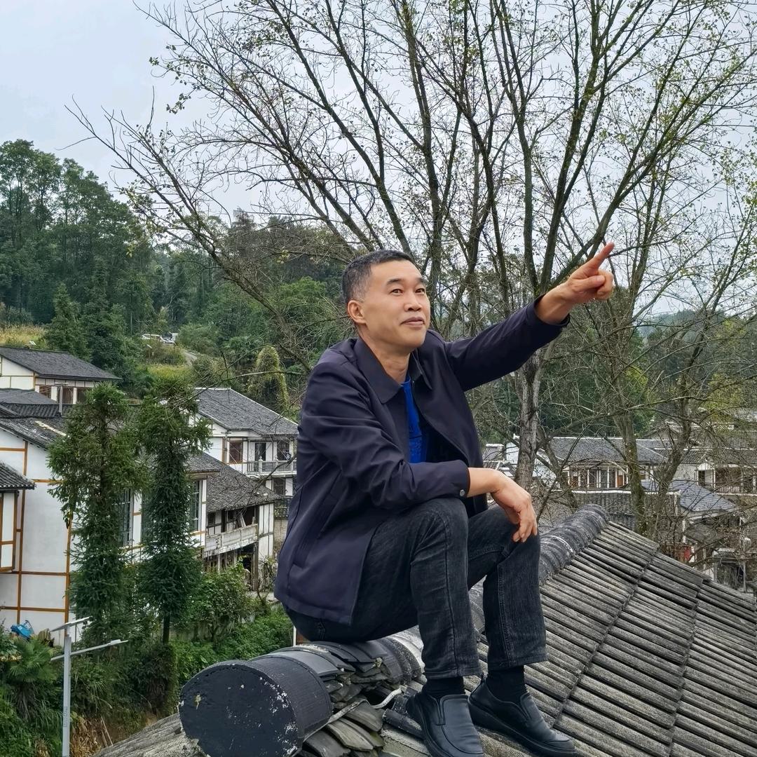 半苦//野路子诗话