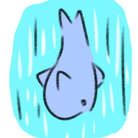 一只鱿鱼鲨