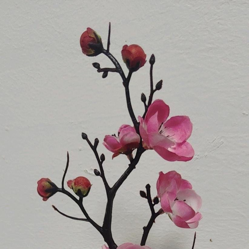 ꦿ໊风᭄🕊᭄ꦿᩚ٭