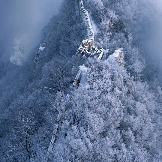 神采飞阳