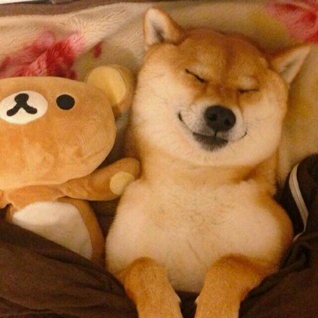 小努力