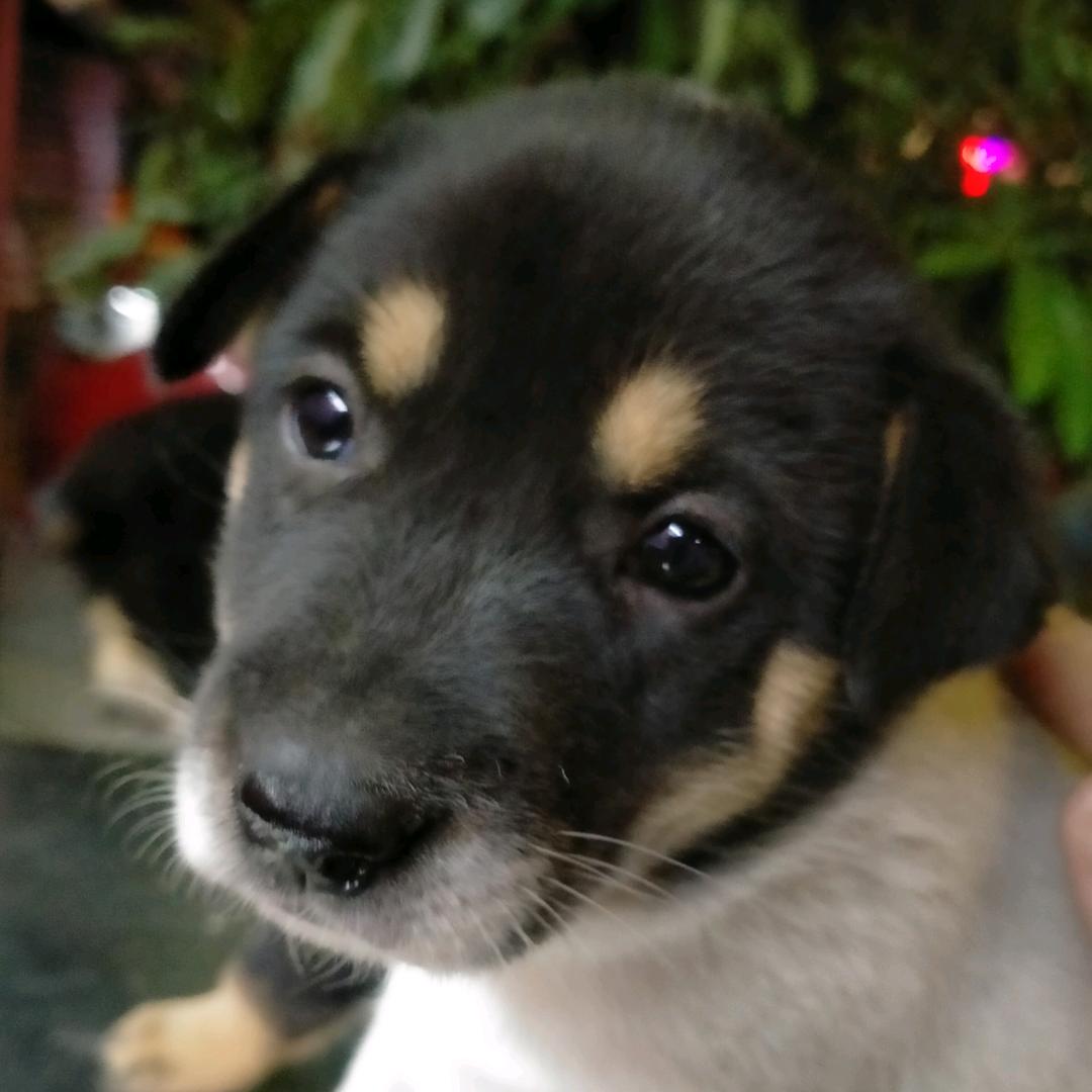 熟悉的你我她（退网）