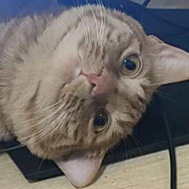 元气满满的一天💓💓💓