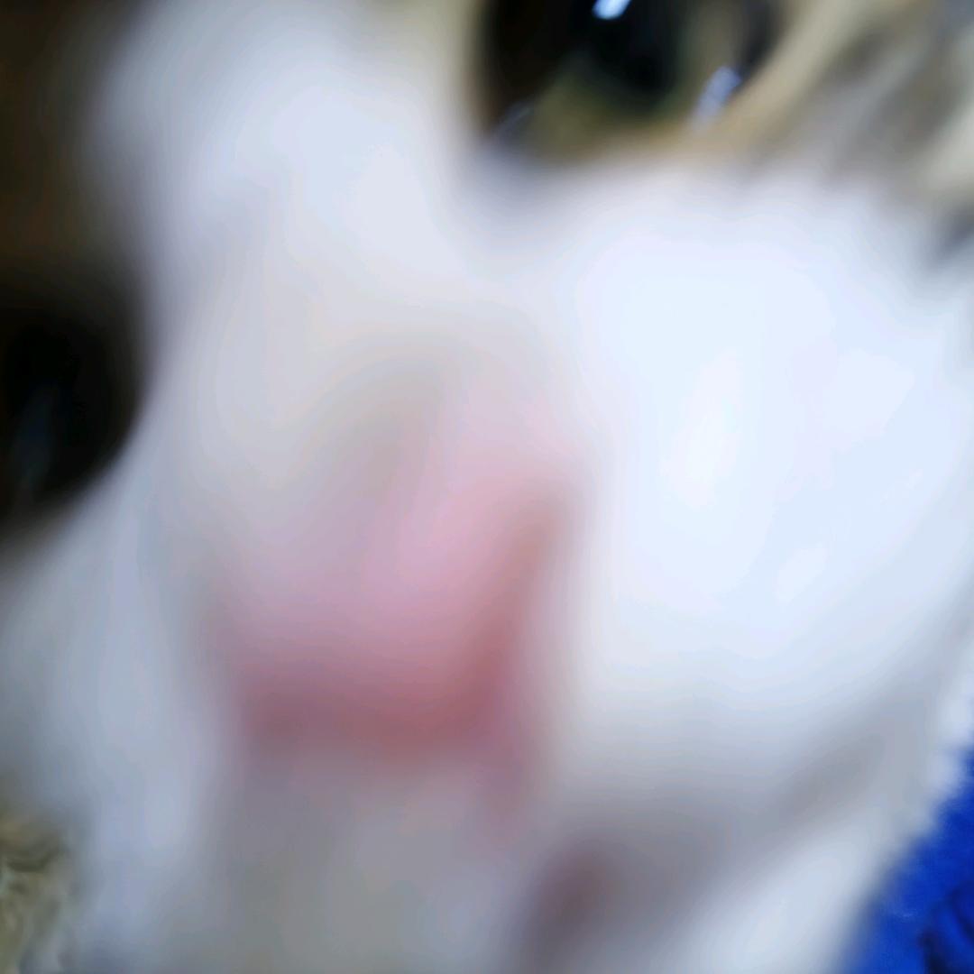 小々