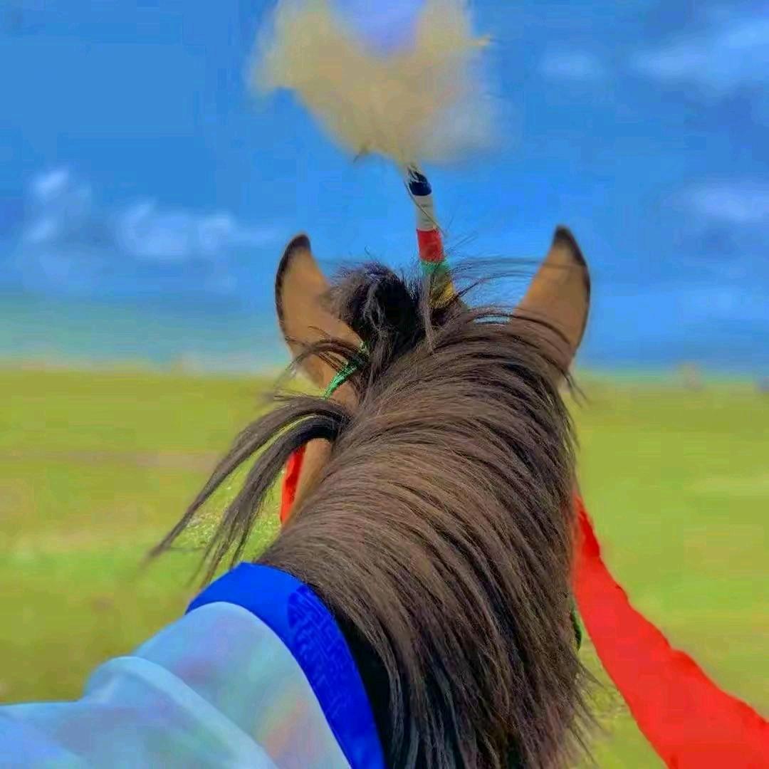༺བོད༻马背上的རྩལ།🐎