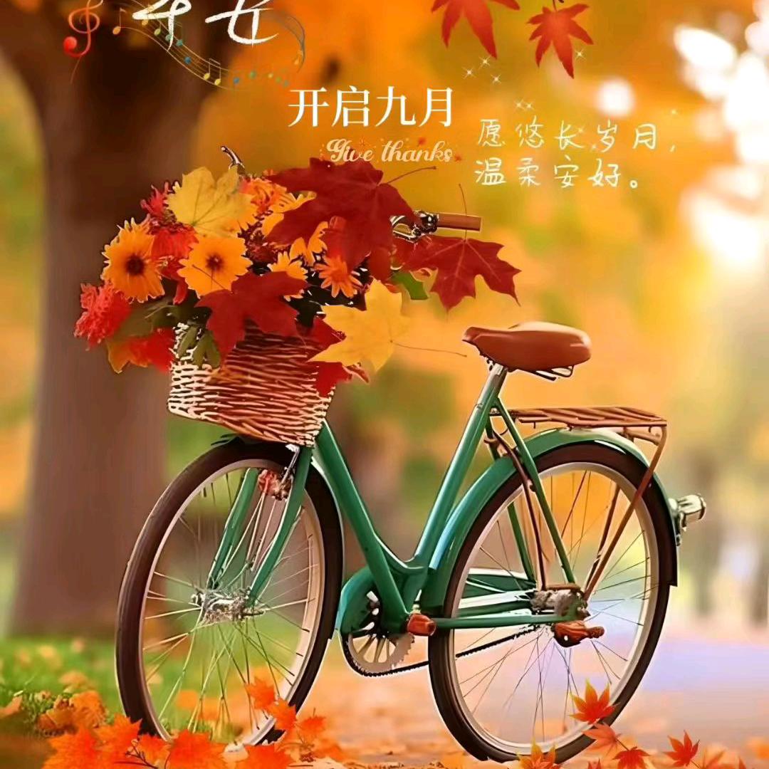 卿卿