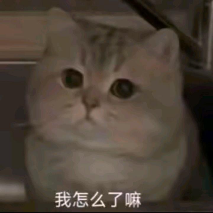 花花世界