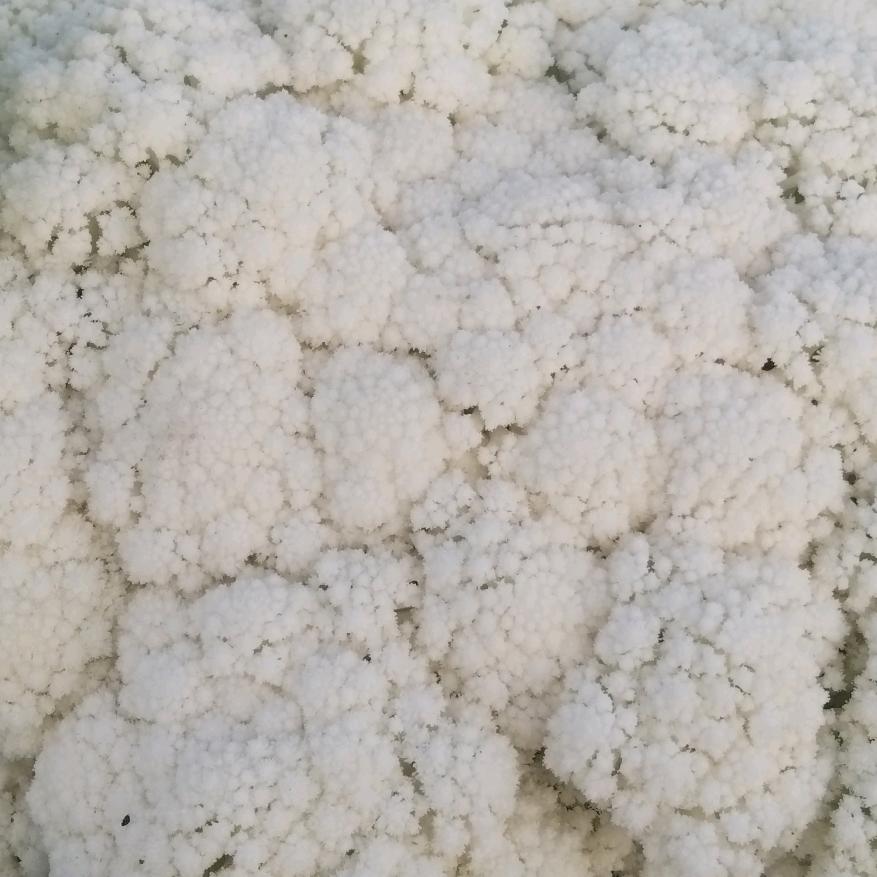 往后余生好好珍惜彼此🥰