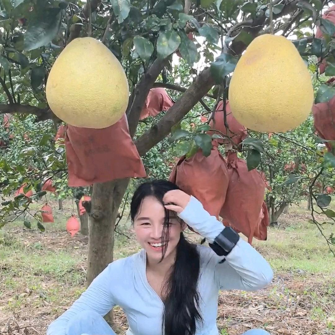 卖苗子的三公主甄选