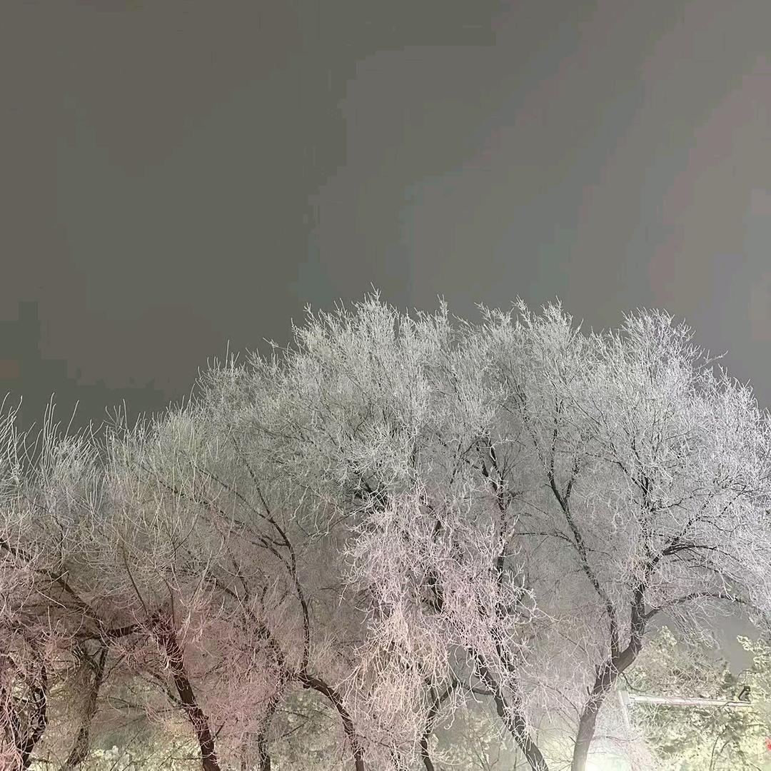 ᥫᩣᐝ龍꧔ꦿ້໌ᮨ࿐